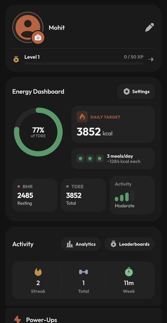 Ohga profile and energy dashboard.